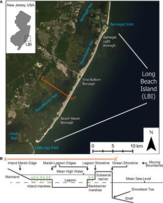 Undeveloped and developed phases in the centennial evolution of a barrier-marsh-lagoon system: The case of Long Beach Island, New Jersey